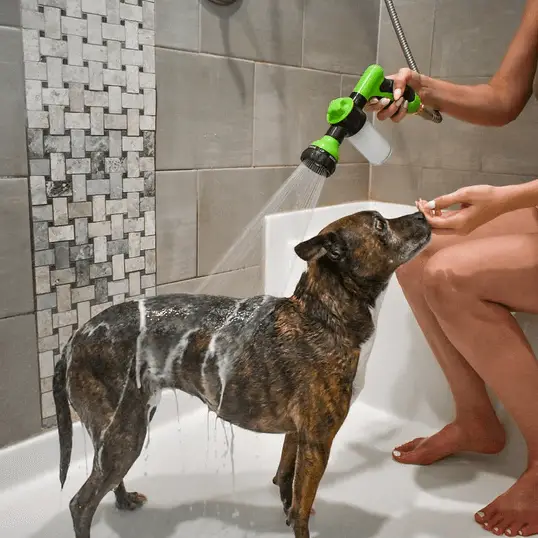 Pet Shower Head